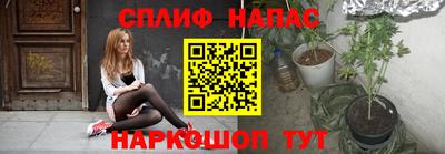 мяу мяу мука Новокубанск
