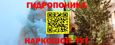 стафф Новозыбков