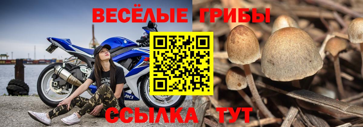 Псилоцибиновые грибы Magic Shrooms  Вход с VPN  купить   Торжок 